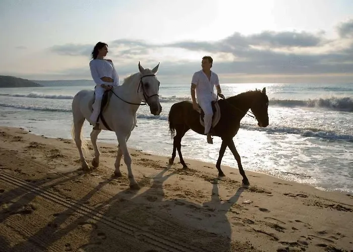 Magnolia 3* Албена